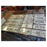 20 Tennessee License Plates