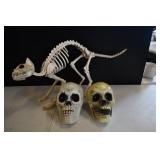 Halloween Skeleton Cat & Skulls Decor