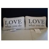Pair of Pottery Barn Throw Pillow