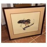Framed Redtail Hawk Print