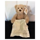 Gund Teddy Bear With Blanket