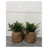Faux Ferns in Pots 10''