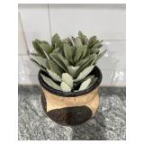 Handcrafted Ceramic Pot with Plant 9.5'