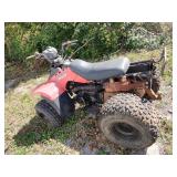 Suzuki QuadRunner 300 4-Wheeler