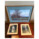 Two Framed Waterfall Photos and Framed Terri Water