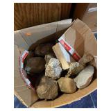 Assorted Found Stones