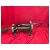 Winchester Model 290 22
