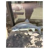 Taxidermy Fish