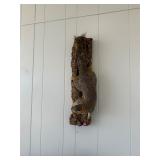 Taxidermy Squirrel with Nut