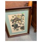 Summer Wood Ducks Print