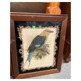 Pair of Antique Bird Lithographs
