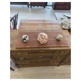 Seashell Wall Display