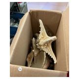 Seashell Box Lot