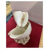 Sea Shell Fountain