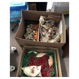 Crab Shells Lot