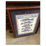 Fishes of the Chesapeake Print