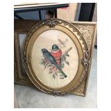 Antique Bird Print and Frame