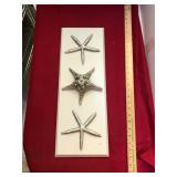 Starfish Nautical Decor