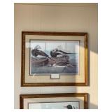 JJ Audubon Long Tailed Duck Plate 63 Lithograph
