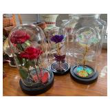 3 Roses in Domes