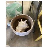 Flower Pot and Conch Shell