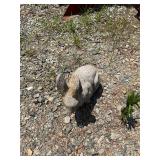 Concrete Rabbit