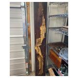Huge Snake Skin on Board