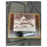 Joe Dimaggio Autographed 8x10