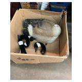 Goose Decoys