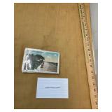 14 Antique Charleston SC Postcards