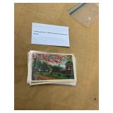 11 1930s-50s SC Postcards Anderson