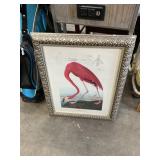 American Flamingo Print