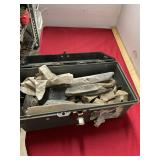 Fossils Lot