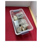 Shells, Fossils, Geodes, Lot