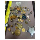 Pin Lot