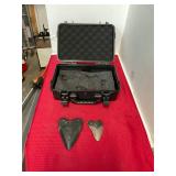 2 Rare Huge Megalodon Shark Teeth