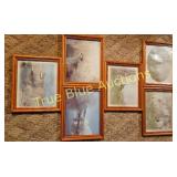 Charming Nature-Themed Framed Art Collection