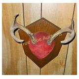 Rustic Antler Wall Mount - Unique Home Decor Piece