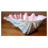 Decorative Shell Bowl