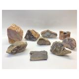 9 LARGE PETRIFIED WOOD SPECIMENS