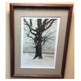 ARTIST PROOF BOB TIMBERLAKE SNOW WORLD PRINT,