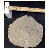 LARGE NATURAL BRAIN CORAL FOSSIL, 11in L