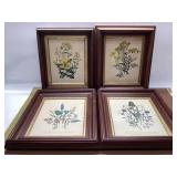 4 FRAMED BOTANICAL PRINTS