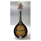 Rogue Mandolin RM.100A