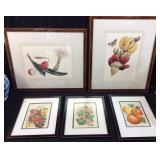 5 FRAMED FRUIT SCENE PRINTS