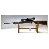 Strum Ruger 10.22 rifle