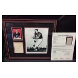CHICAGO BEARS BRIAN PICCOLO AUTOGRAPH w