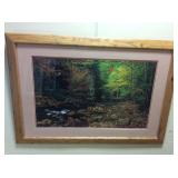 TOM PAYNE MATTED NATURE PHOTOGRAPH FRAMED