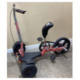 WRFF IT (WALK RUN FLY FASTER) TRIKE