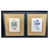 (2) GEORG WOLFGANG KNORR BOTANICAL PRINTS, FRAMED